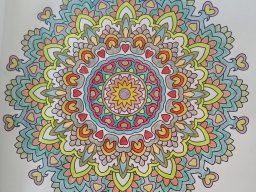 whatsapp bild 2023-07-04 um 19.14.06